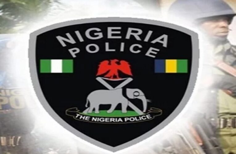 NAOSRE Re Affirms Support To Security Agencies As Police Service Commission Promotes Officers-