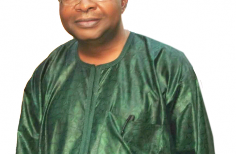 Barbarians Attack Nigeria – Dr. Chinedu Jideofo-Ogbuagu –