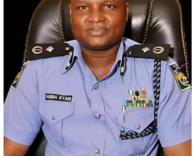 Abba Kyari Suspended From Nigeria Police-